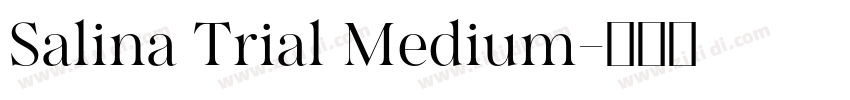 Salina Trial Medium字体转换